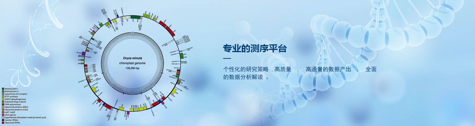 選擇專業